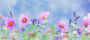 Test-Project-Long Desc