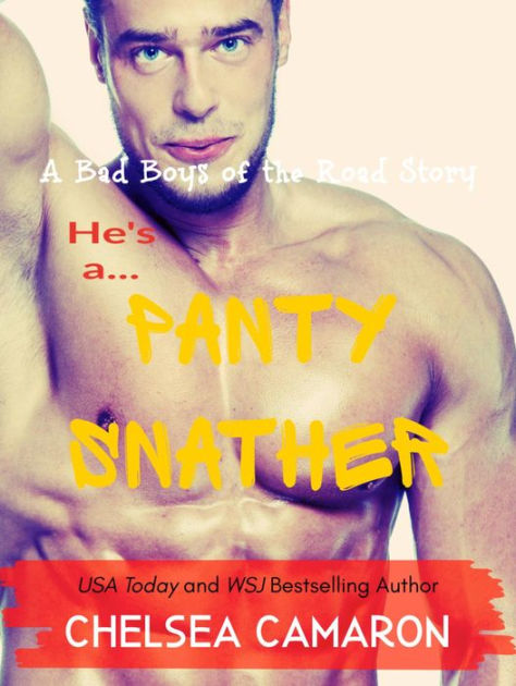 The Panty Snatcher (Paperback)