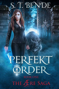 Title: Perfekt Order, Author: S. T. Bende