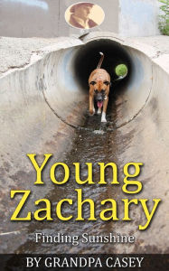 Title: Young Zachary Finding Sunshine, Author: Casey Ziemniarski