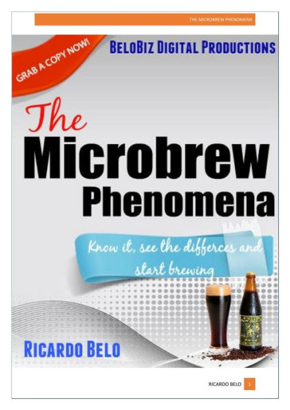 The Microbrew Phenomena
