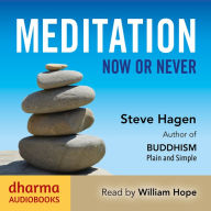 Meditation Now or Never