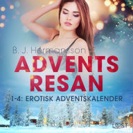 Adventsresan 1-4: Erotisk adventskalender