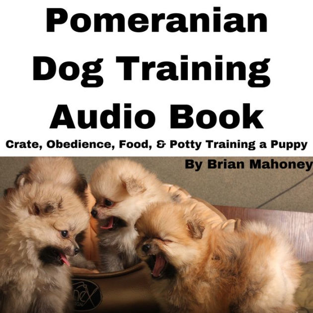 Pomeranian sales obedience training