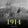 1914: The History and Legacy of World War I's First Year