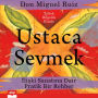 Ustaca Sevmek: ¿li¿ki Sanat¿na Dair Pratik Bir Rehber