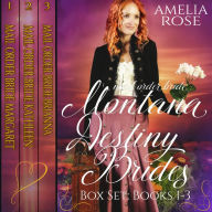 Mail Order Bride - Montana Destiny Brides Box Set - Books 1-3