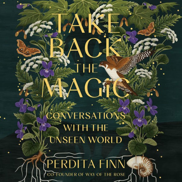 Take Back the Magic: Conversations with the Unseen World