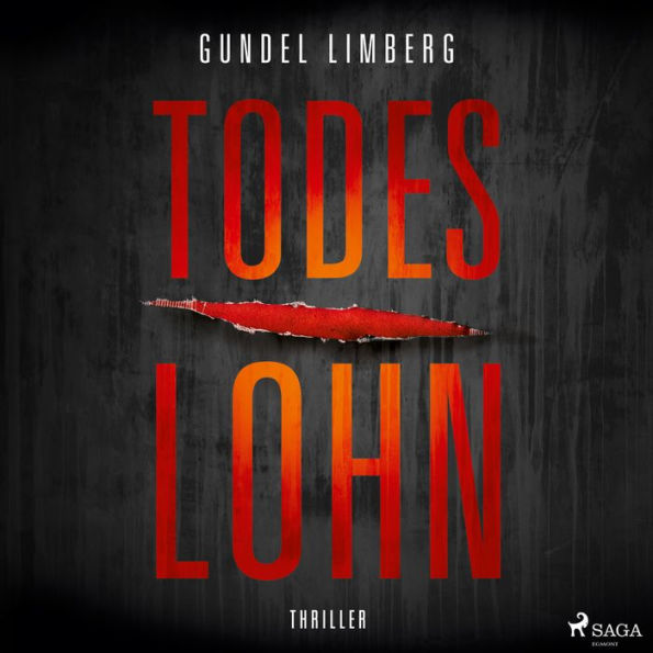 Todeslohn: Thriller