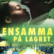 Ensamma på lagret - erotisk novell