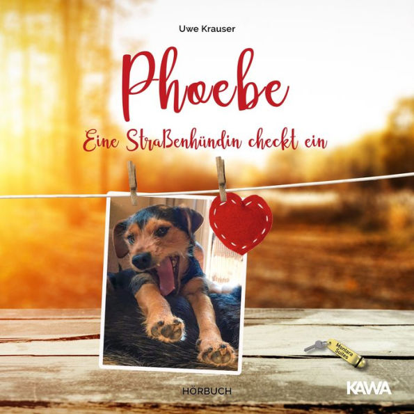 Phoebe: Eine Straßenhündin checkt ein