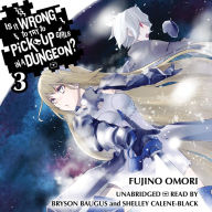 Is It Wrong to Try to Pick Up Girls in a Dungeon?, Vol. 3 (light novel)