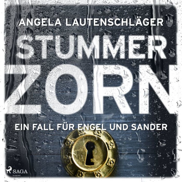 Stummer Zorn (Ein Fall für Engel und Sander, Band 7)