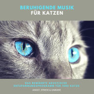 Beruhigende Musik für Katzen: Das bewährte akustische Entspannungsprogramm für Ihre Katze
