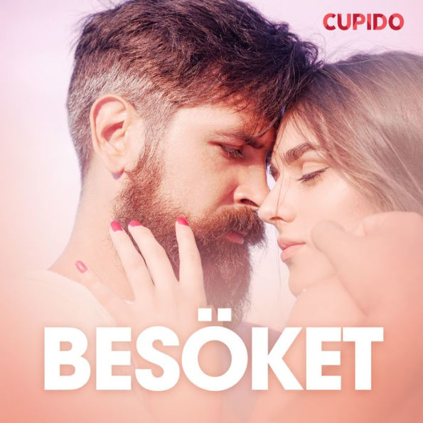 Besöket - erotisk novell