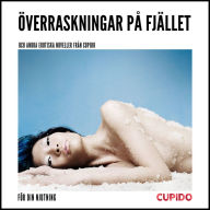 Överraskningar på fjället - och andra erotiska noveller från Cupido