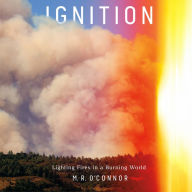 Ignition: Lighting Fires in a Burning World