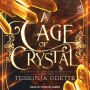 A Cage of Crystal