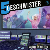 40: Schreck im Tonstudio