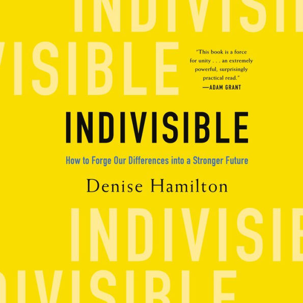 Indivisible: How to Forge Our Differences into a Stronger Future