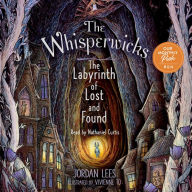 The Labyrinth of Lost and Found