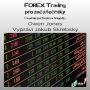 FOREX Trading pro za¿áte¿níky: Úvod do sv¿ta sn¿ a tragédií...