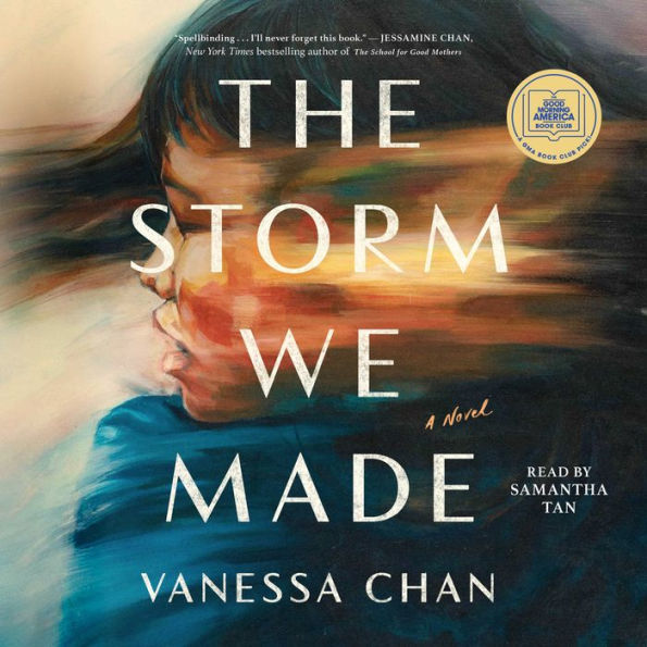 The Storm We Made: A Novel