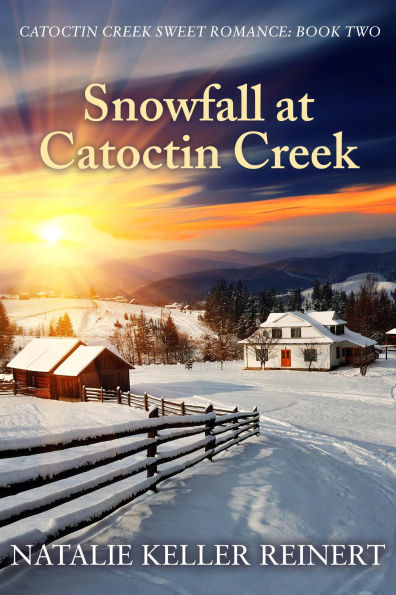Snowfall at Catoctin Creek