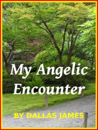 Title: My Angelic Encounter, Author: Dallas James