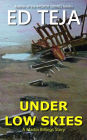 Under Low Skies: A Novel of Caribbean Crime and Suspense