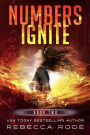 Numbers Ignite: A Near-future YA thriller
