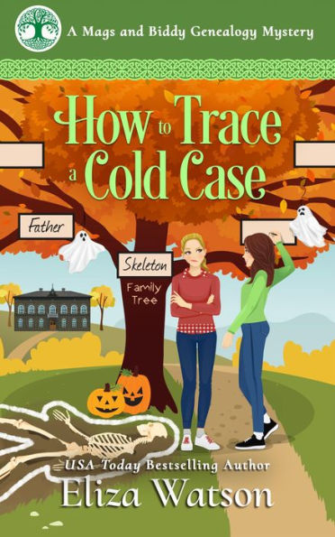How to Trace a Cold Case: A Cozy Mystery Set in Ireland