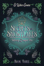 Secrets and Snowflakes: A Cozy Fantasy Novel