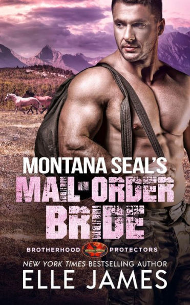 Montana SEAL's Mail-Order Bride