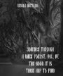 Journey Through a Dark Forest, Volume IV: The Good It Is Their Hap to Find