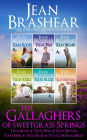 The Gallaghers of Sweetgrass Springs Boxed Set
