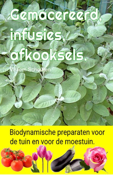 Gemacereerd, infusies, afkooksels. Biodynamische preparaten voor de tuin en voor de moestuin.