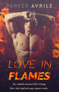 Title: Love in Flames: Three Fake Boyfriend Gay Romance Novels (MM Contemporary Gay Romance), Author: Parker Avrile