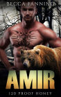 Amir