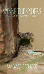 Title: Spinne the Spider's Indoor Adventure, Author: Bonnie Ursprung