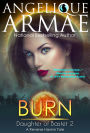 Burn (Daughter of Bastet 2)