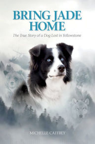 Title: Bring Jade Home, Author: Michelle Caffrey