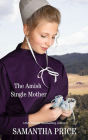 The Amish Single Mother