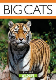 Title: Big Cats, Author: Sabine Wood