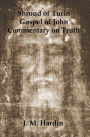 Shroud of Turin: Gospel of John - Commentary on Truth