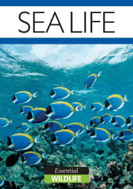 Title: Sea Life: Essential Wildlife, Author: Jessica Toyne