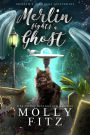 Merlin Fights a Ghost: A Hilarious Mystery with a Witchy Cat and his Human Familiar