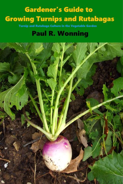 Gardener's Guide to Growing Turnips and Rutabagas