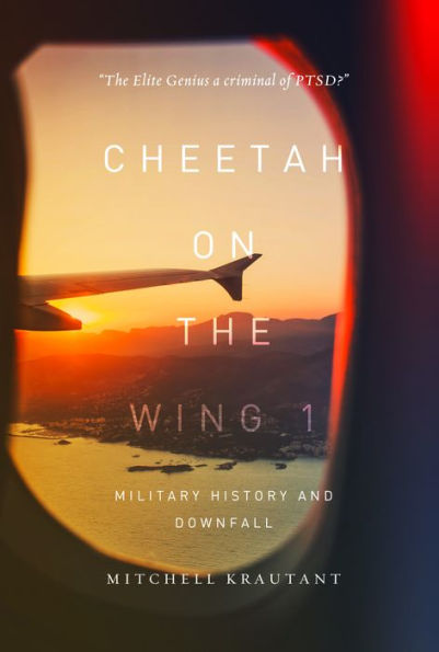 Cheetah on the Wing 1: Military History and Downfall