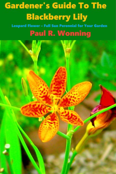 Gardener's Guide To The Blackberry Lily